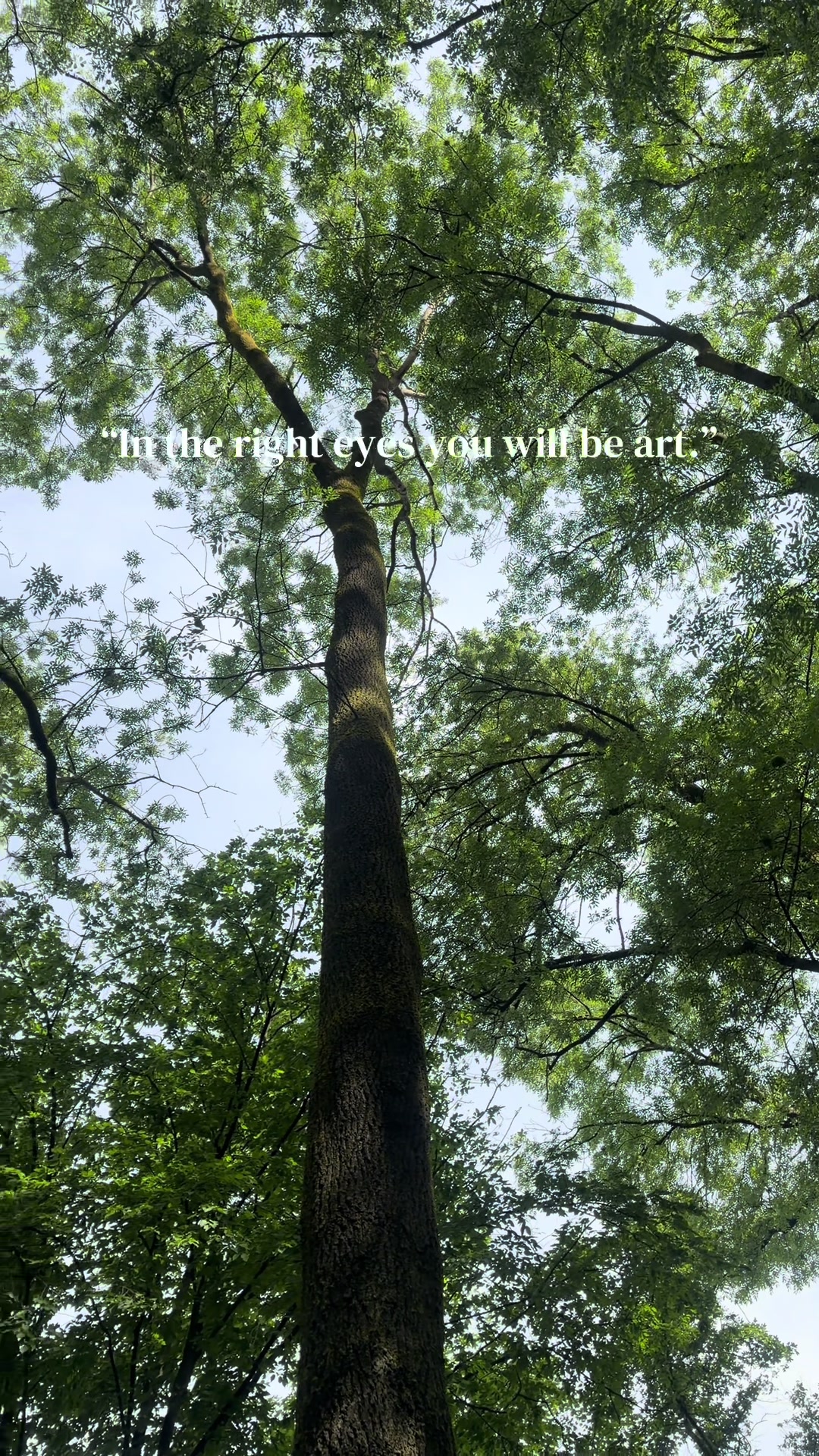 @DOTÉ