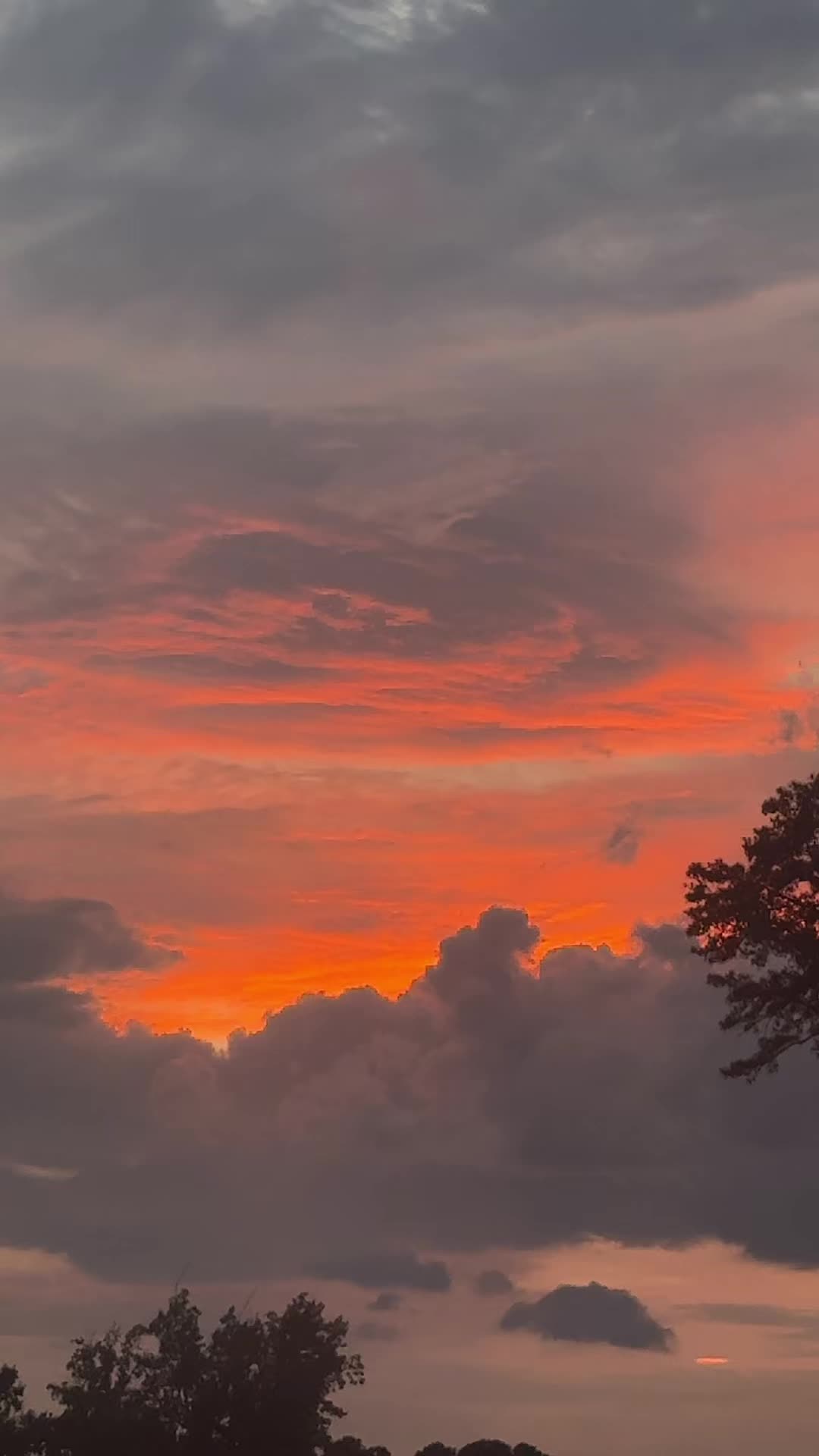 @Aartee2🦋