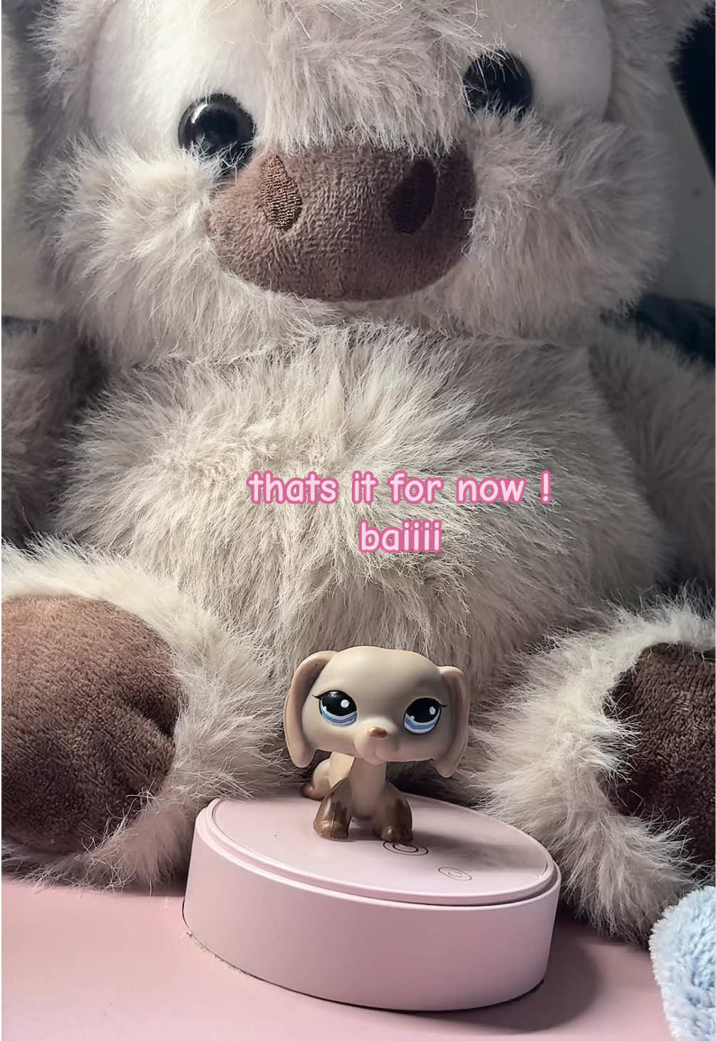 @๐๐๐๐๐ ๐๐ซง๐เพเฝฒ
