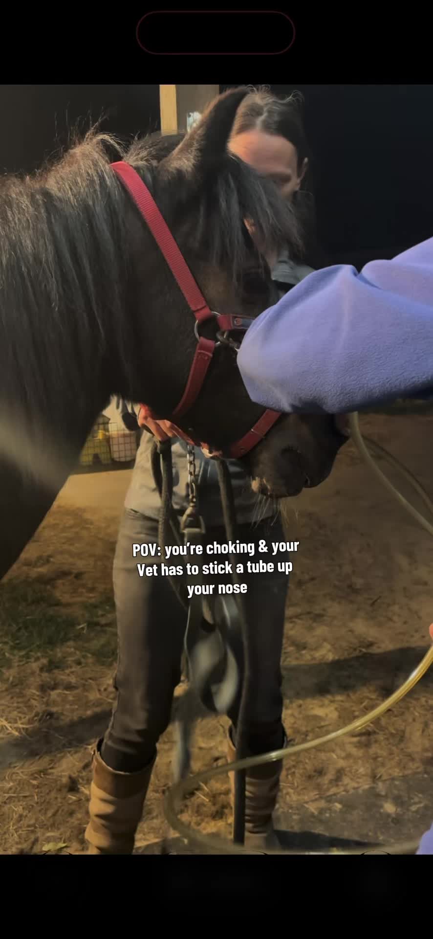 @itiswellstables