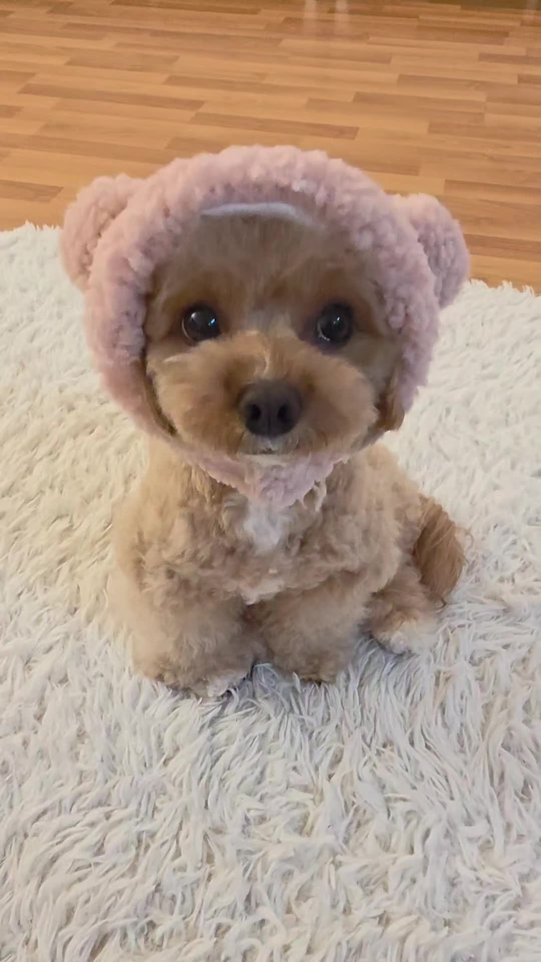 @Teddy12_22