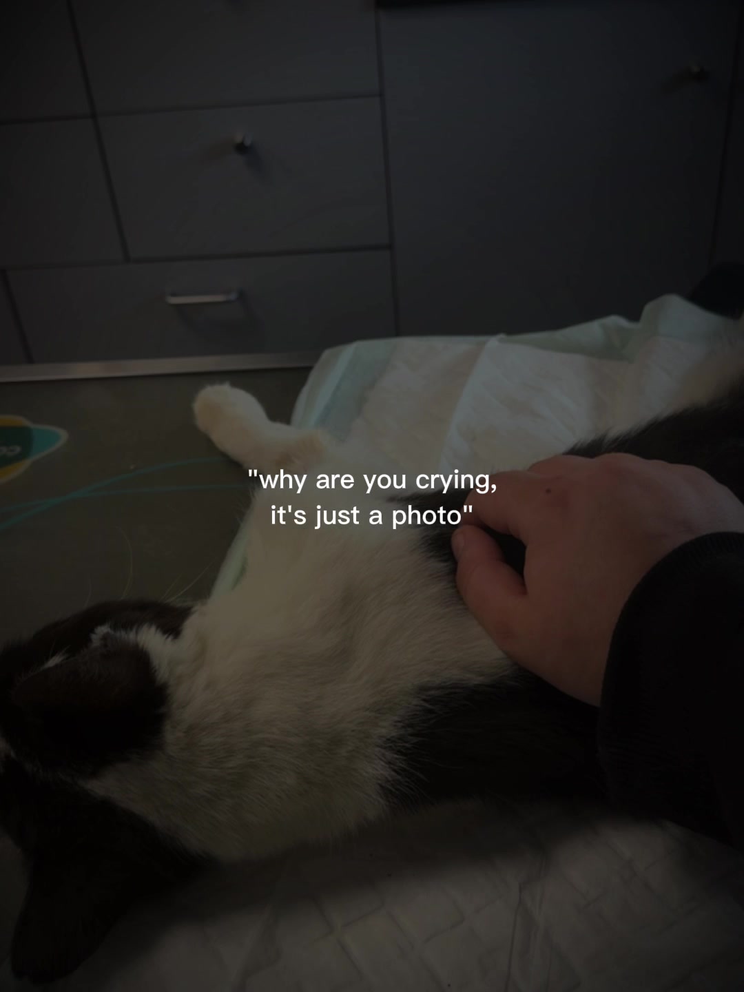 @E🖤