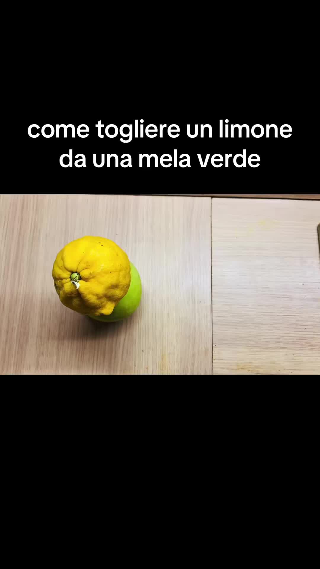 @PTC21