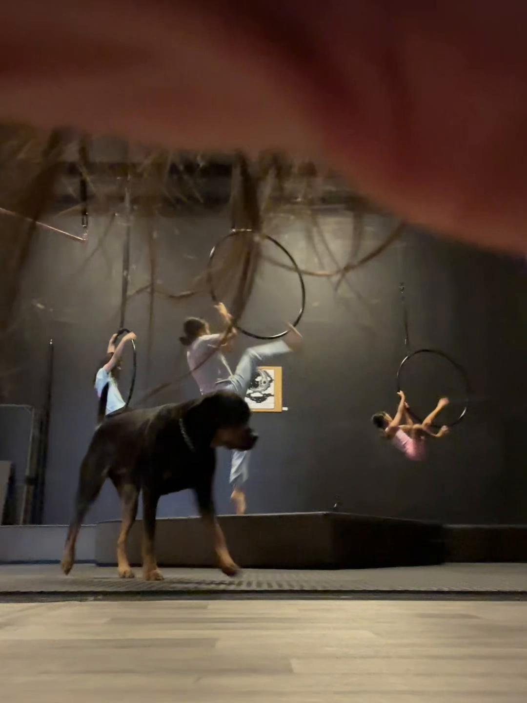 @Akasha Aerial Arts