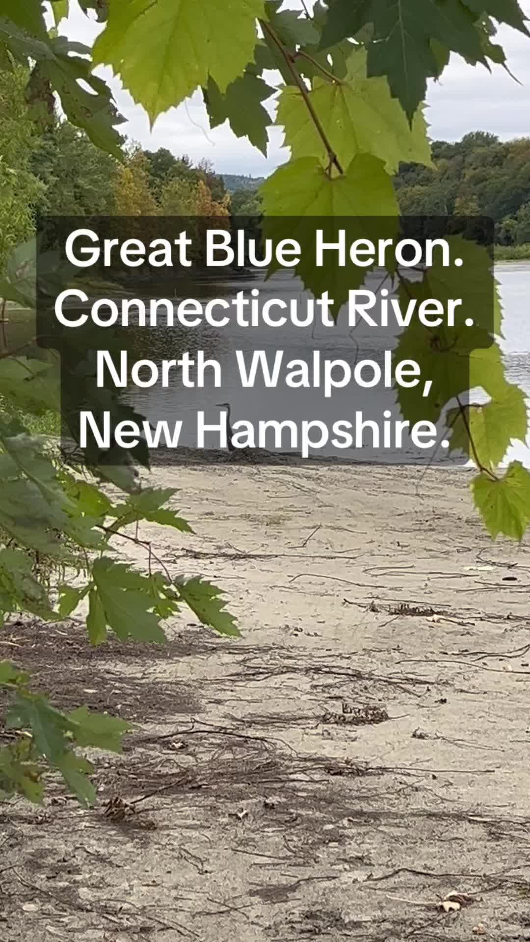 @Vermont Outdoors