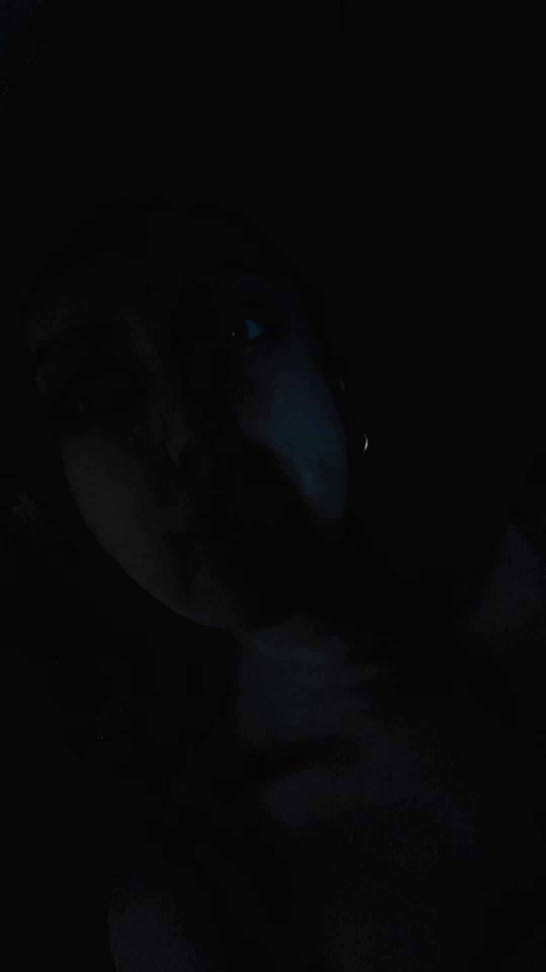 @Skylar