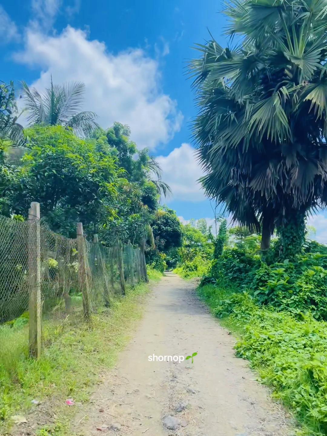 @🕊️♡Տԩόɹ𝖓ό𝒑🌱🧢