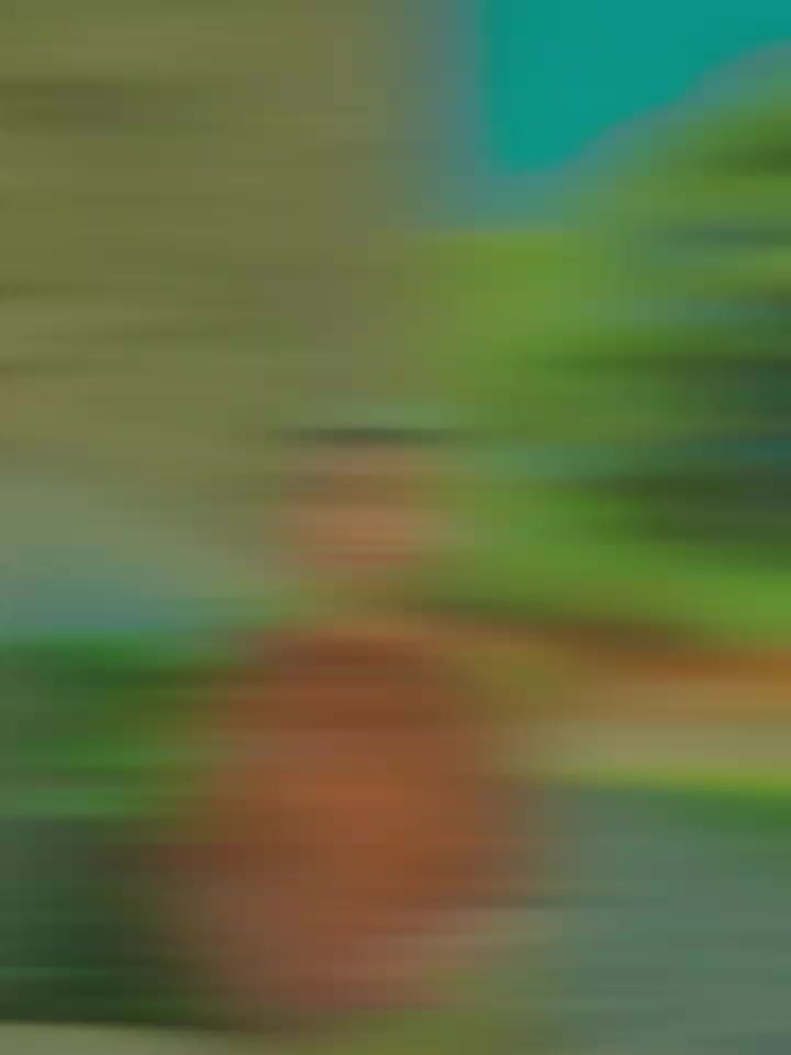 @💐𝐒𝐀𝐍𝐉𝐔 :🌹🤍