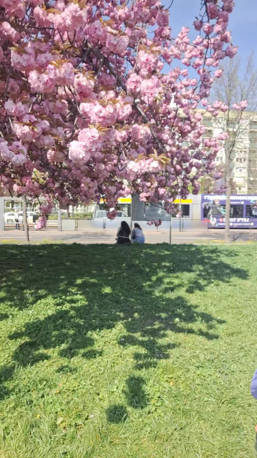 @Yumisa_cos.
