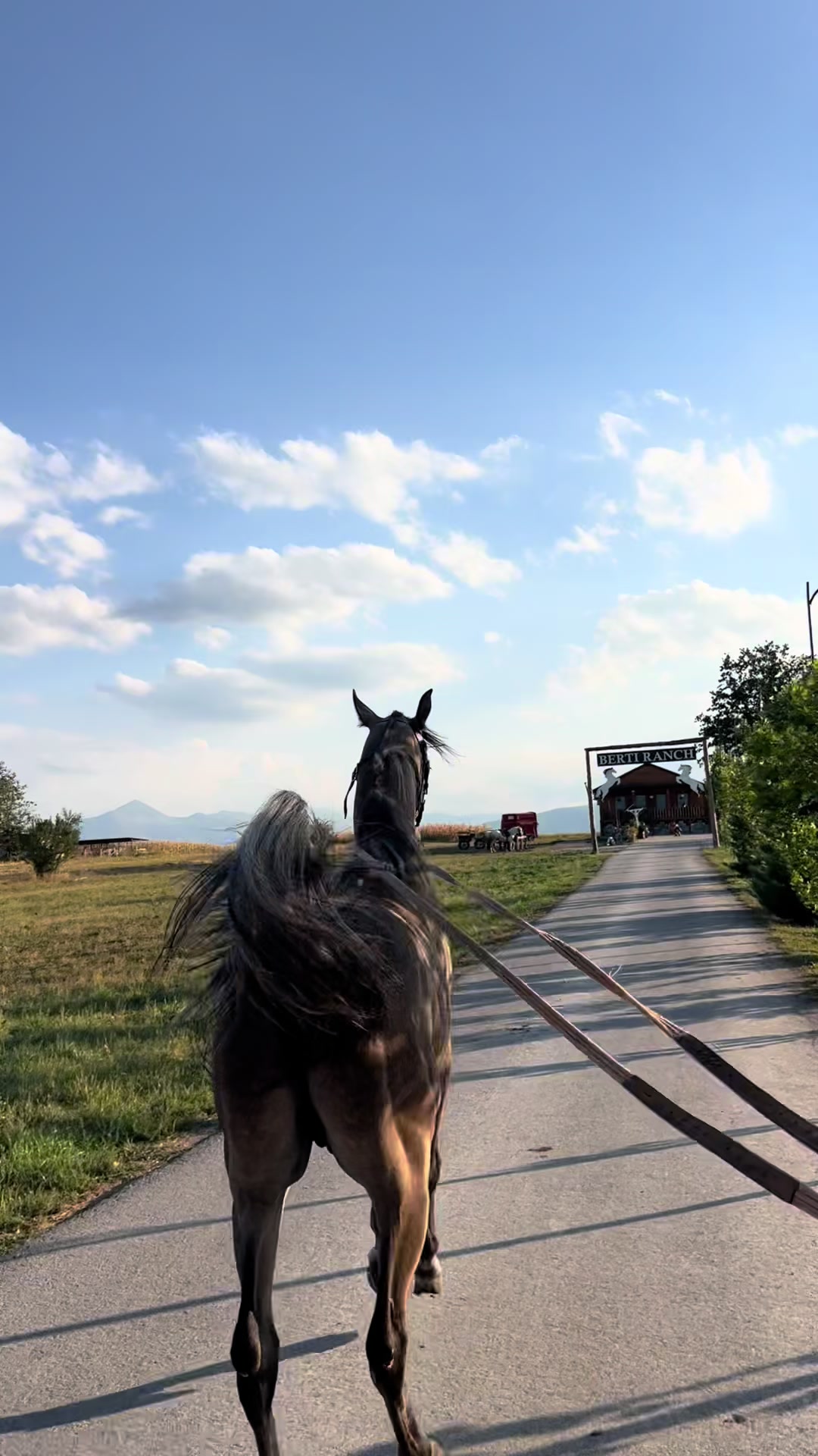 @BERTI RANCH 🐎