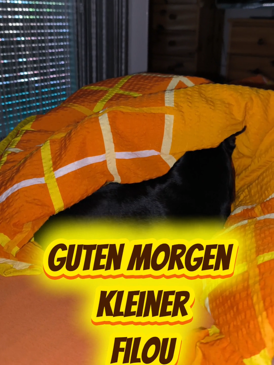 @ICH BIN'S