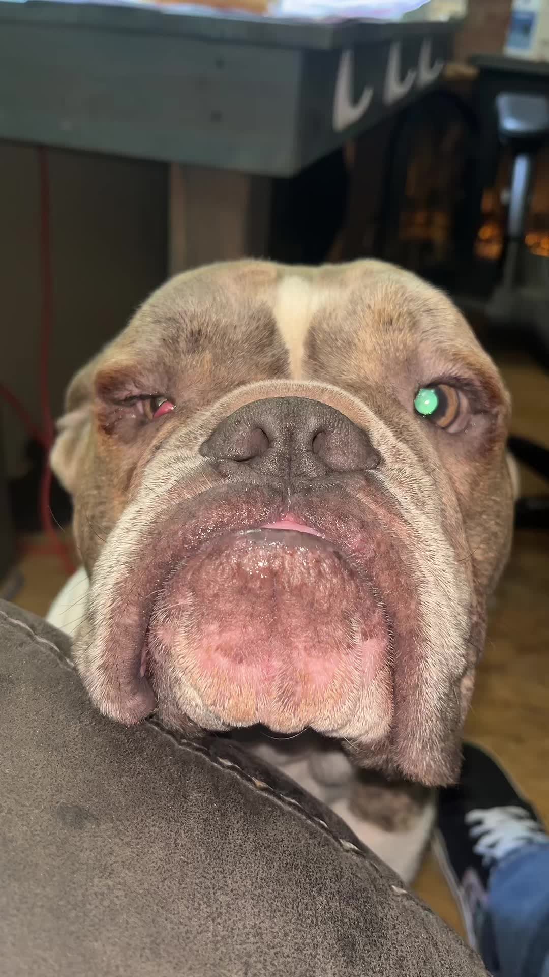 @traceface