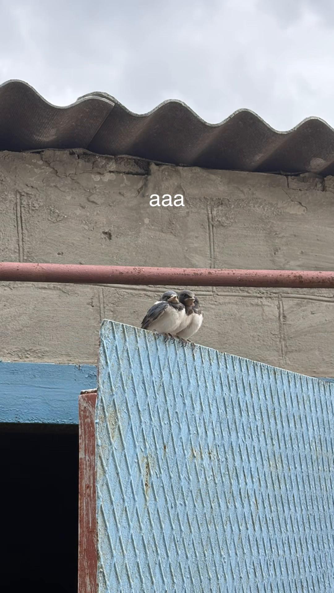 @паршин