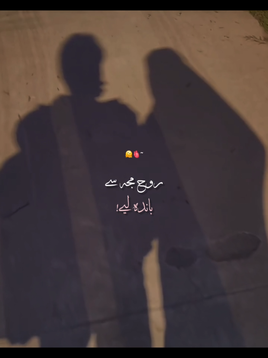 @꧁༺𝙉𝙤𝙩 𝙮𝙤𝙪𝙧 𝘼𝙨𝙖𝙙༻꧂