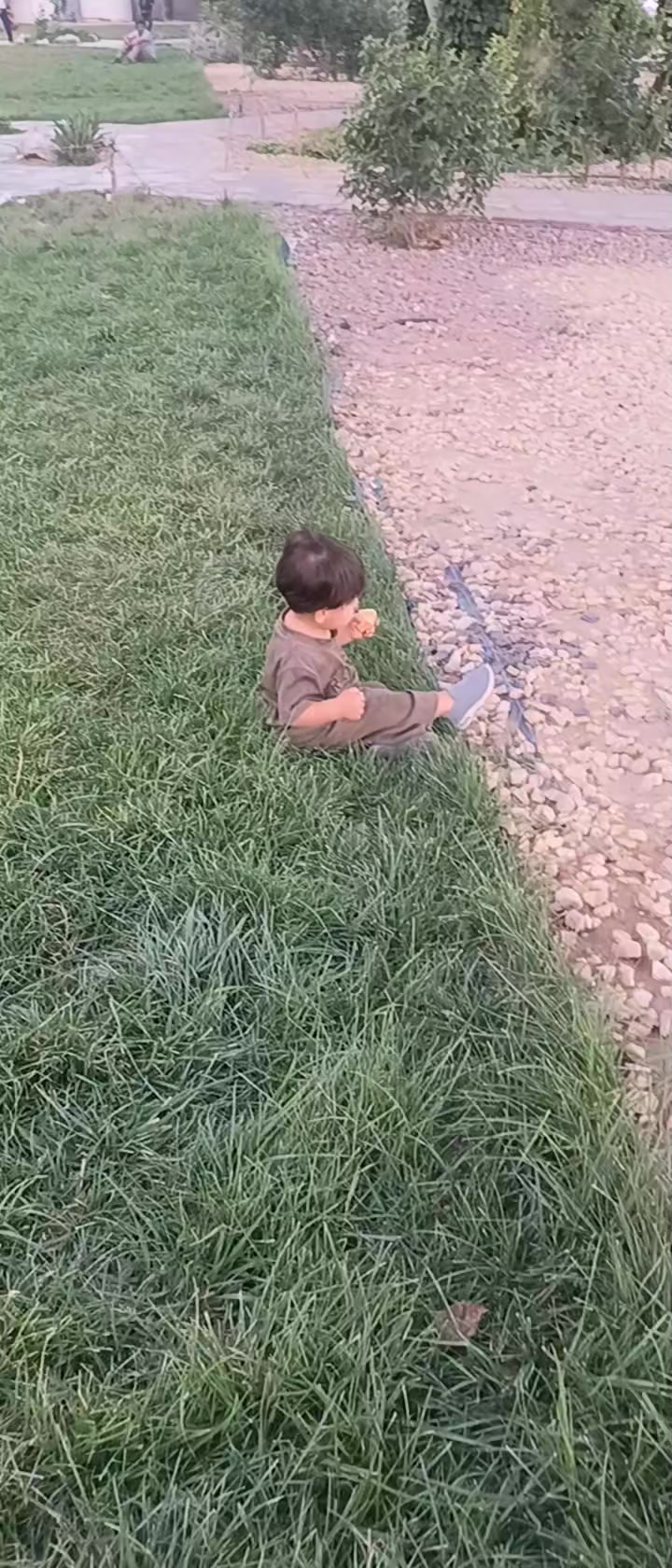 @مجيد حافظ
