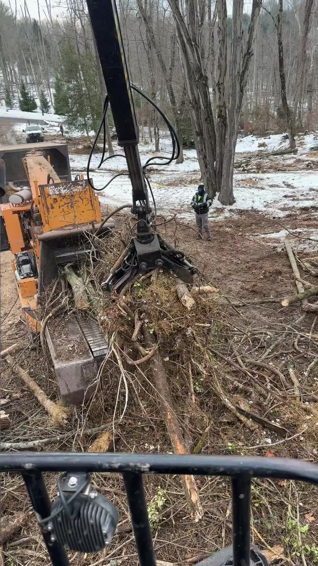 @Teto tree service