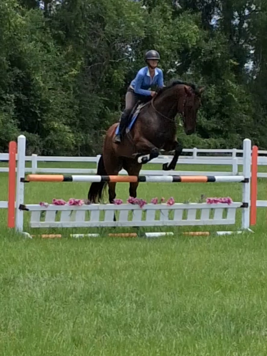 @sandbarfarm