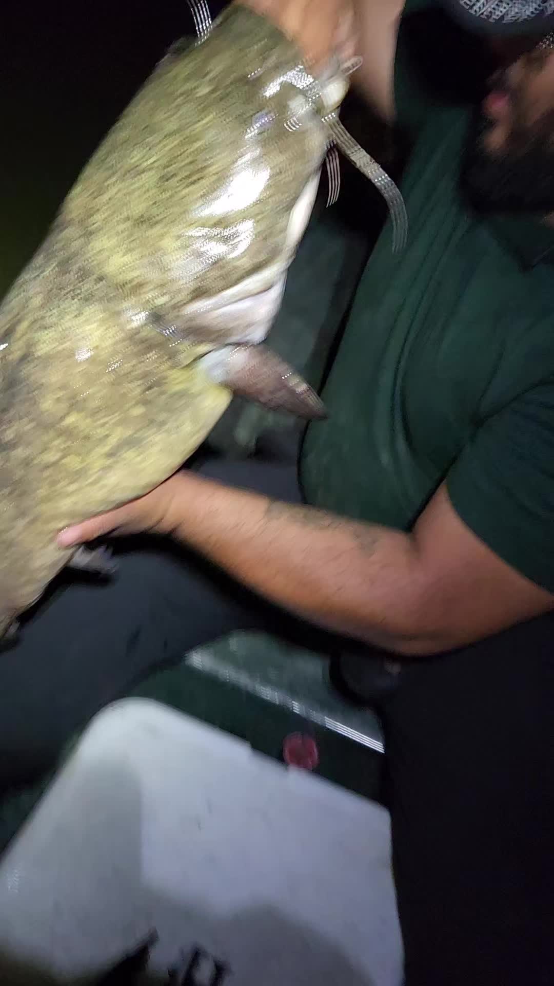 @Moonpie Outdoors