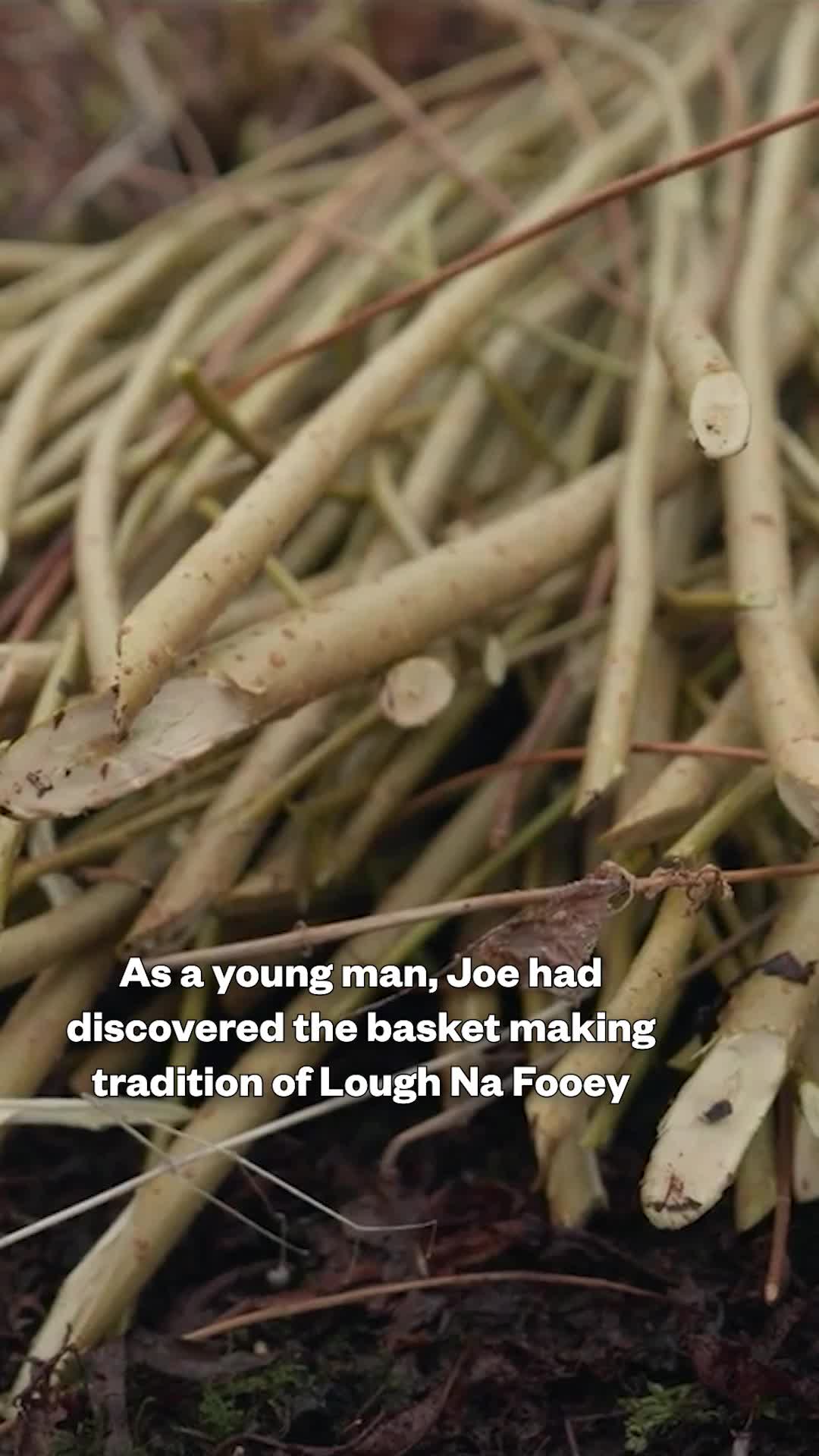 @RT&Eacute; One