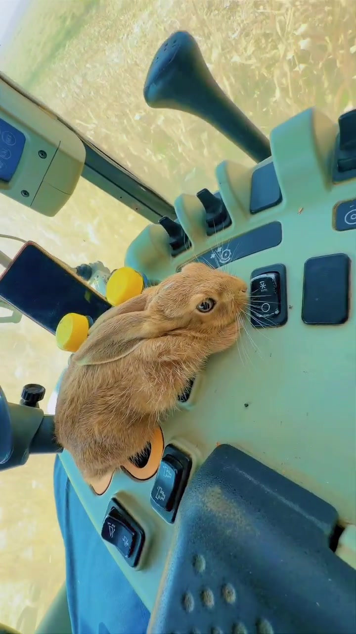 @Biłãł_BaShdar_Zrary