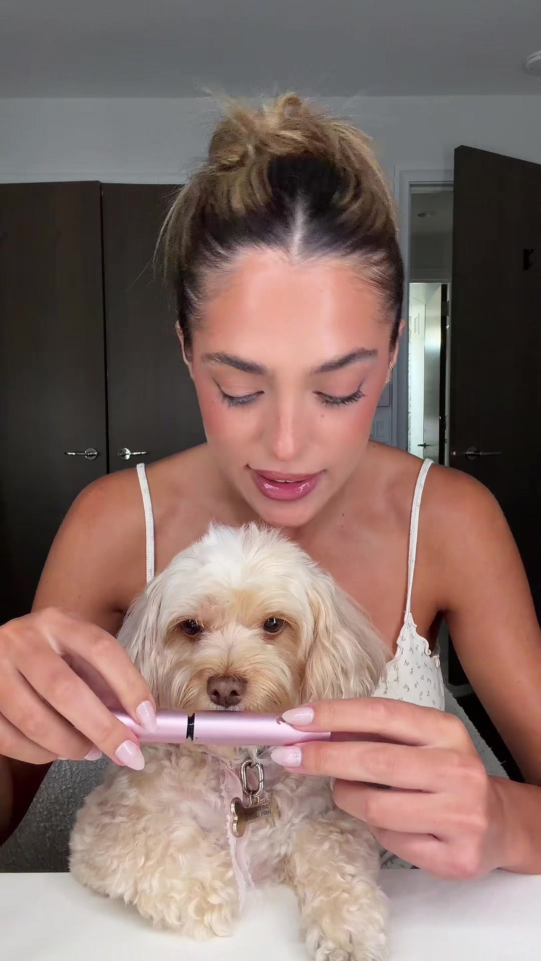 @Sistine Stallone