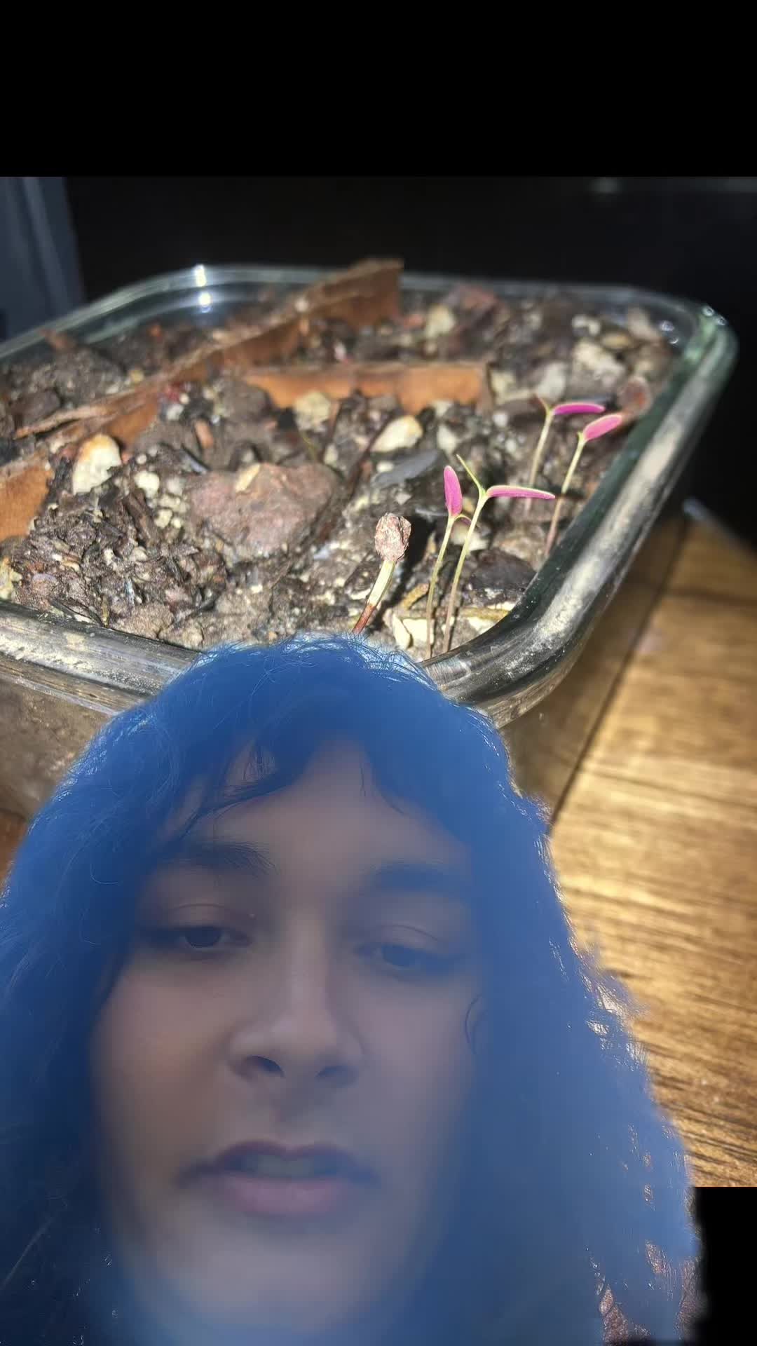 @e_arth_girl