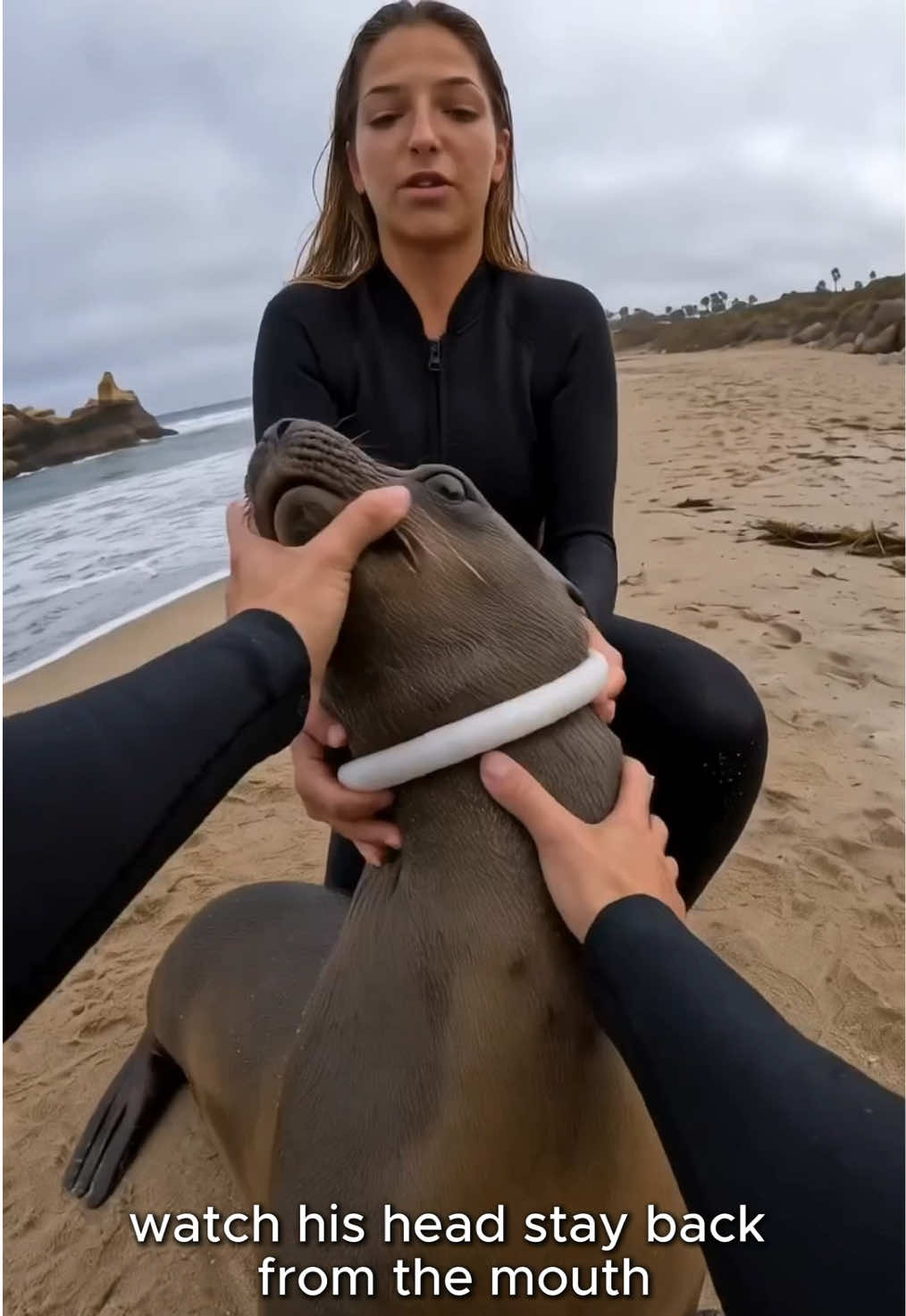 @aigeographic