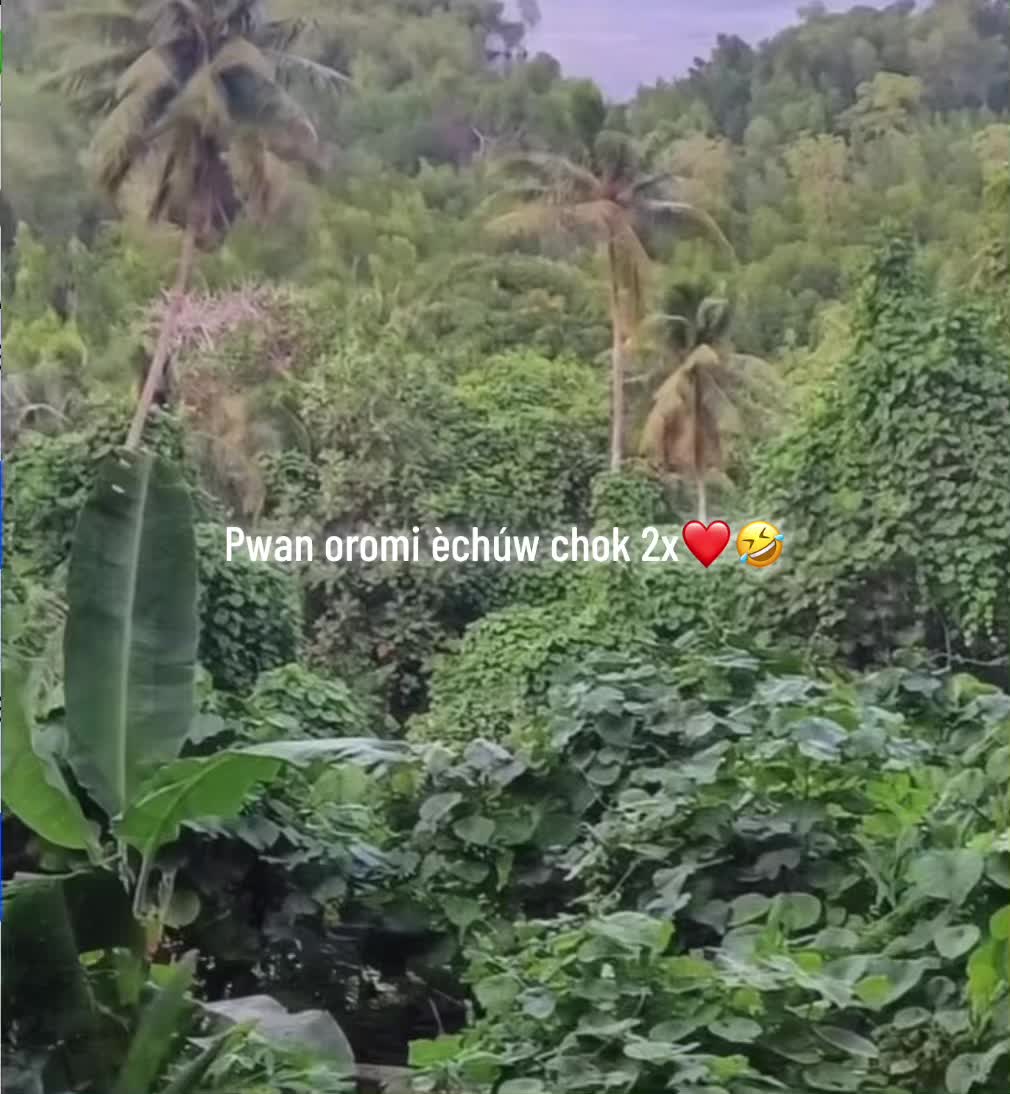 @nikekechiw