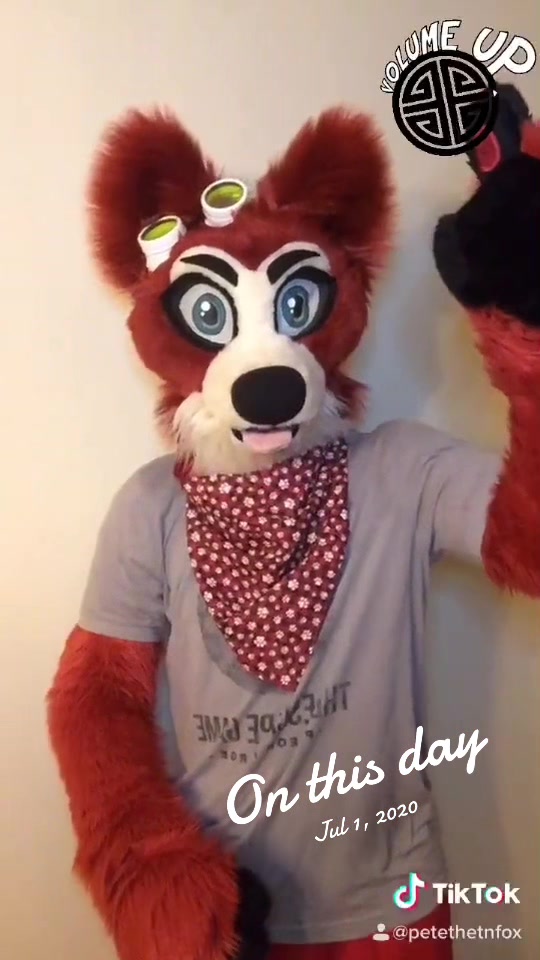 @🦊 Pete The Fox 🦊