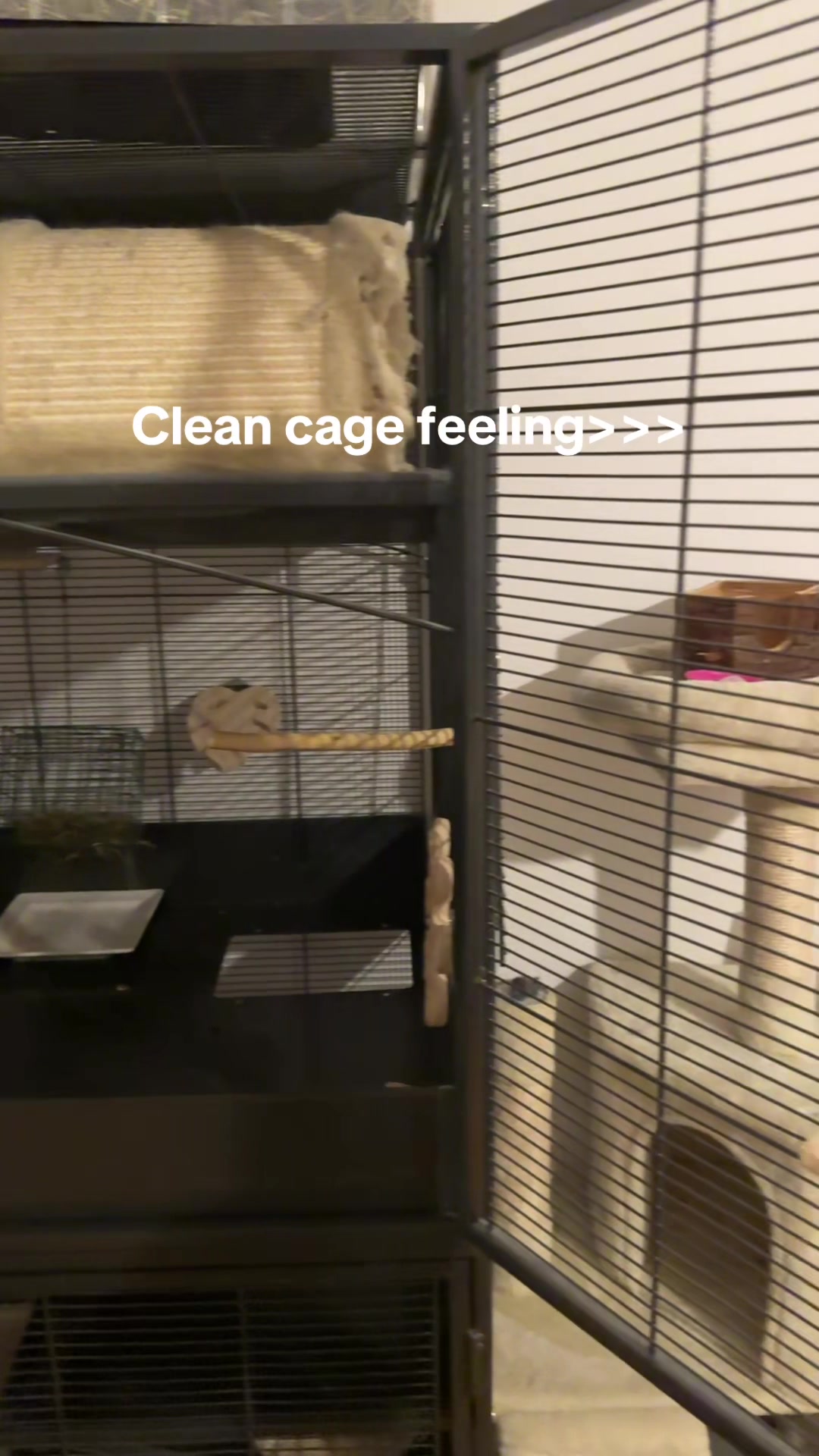 @BANDIT & STRIPE
