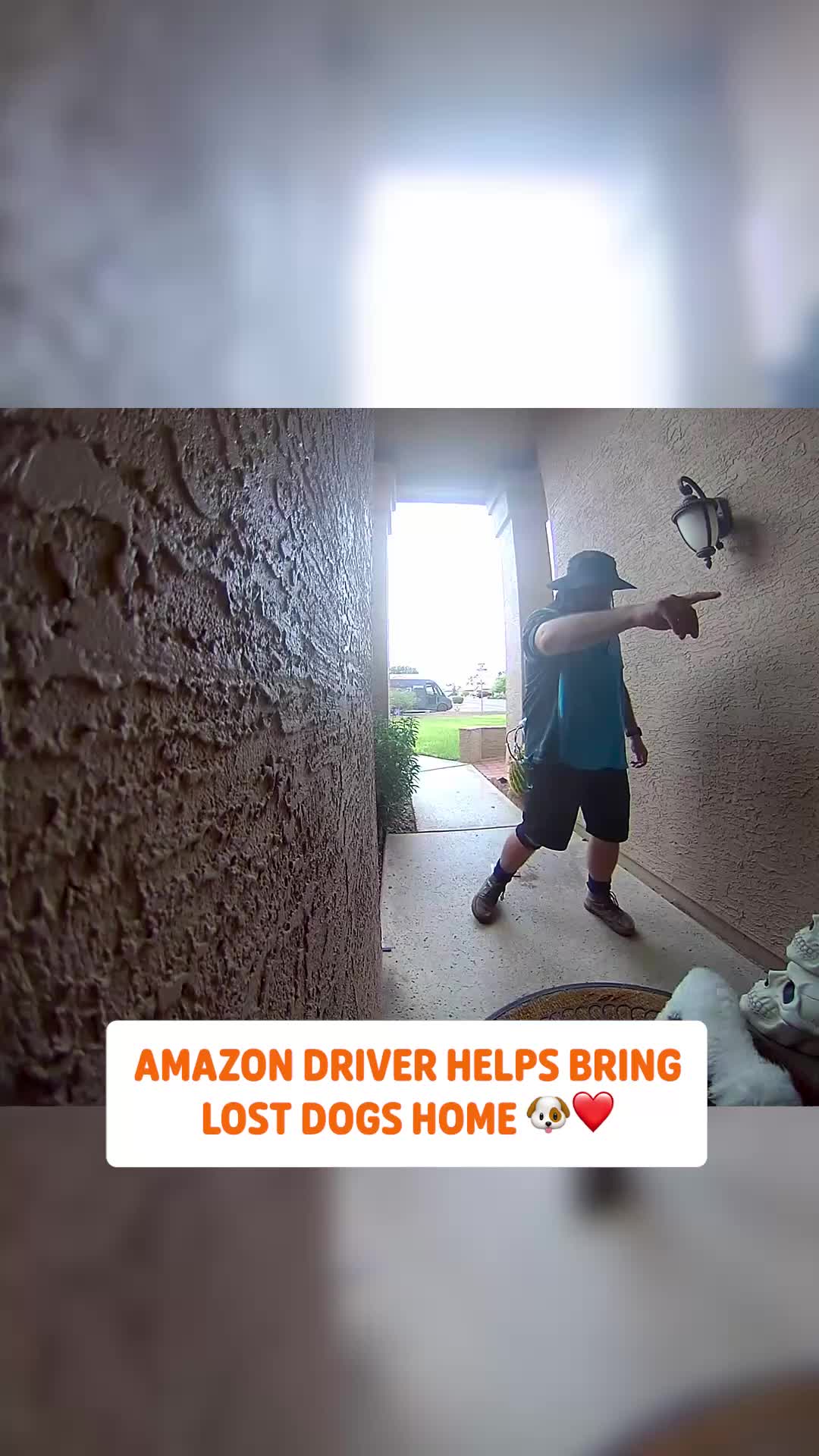 @Pawsome Pets