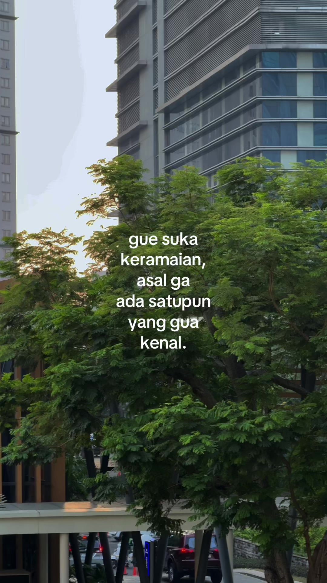@𝗗𝗶𝗮𝗻𝘆