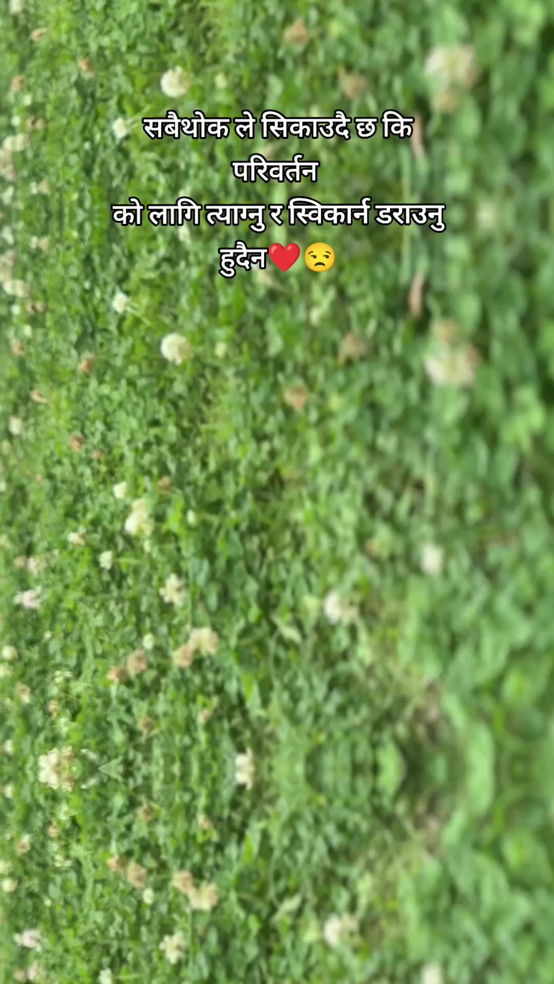 @Phuyal Dipika