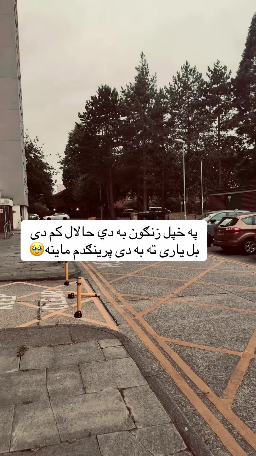 @𓆩•جّنگّــᬼــجّو٘•𓆪