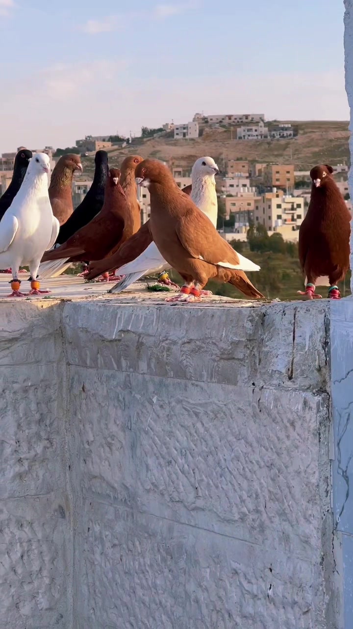 @اسماعيل