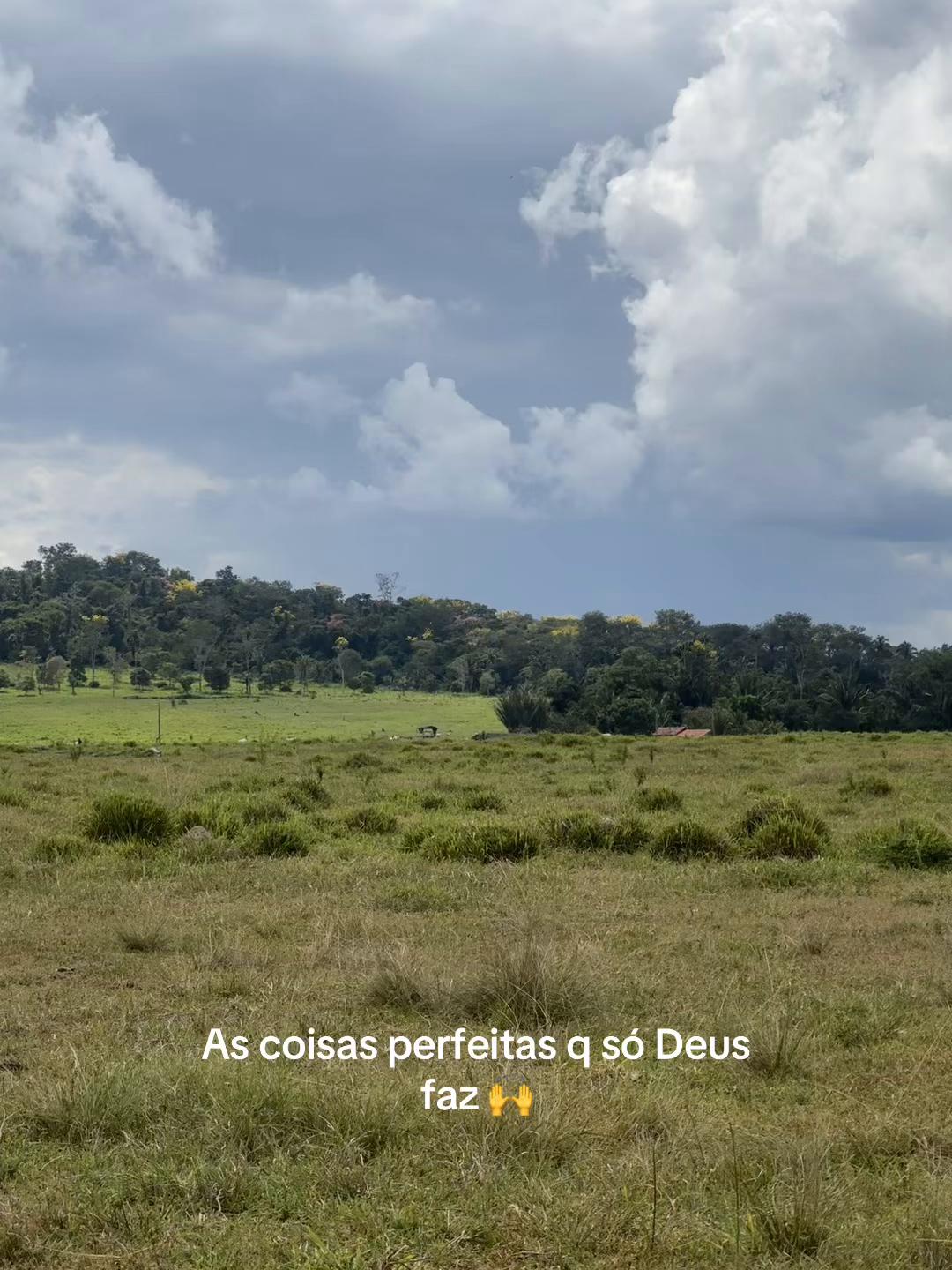 @Roseleide Vieira Lim