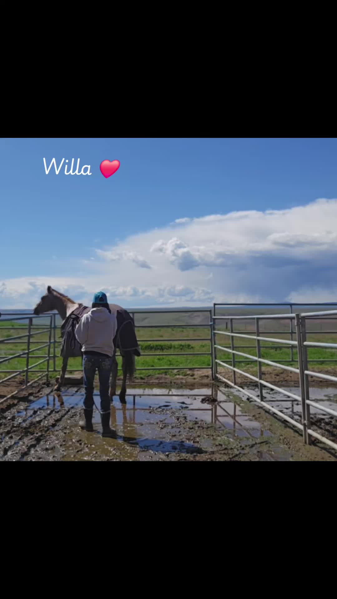 @Cowgirl Tuff Colt Training ❤️