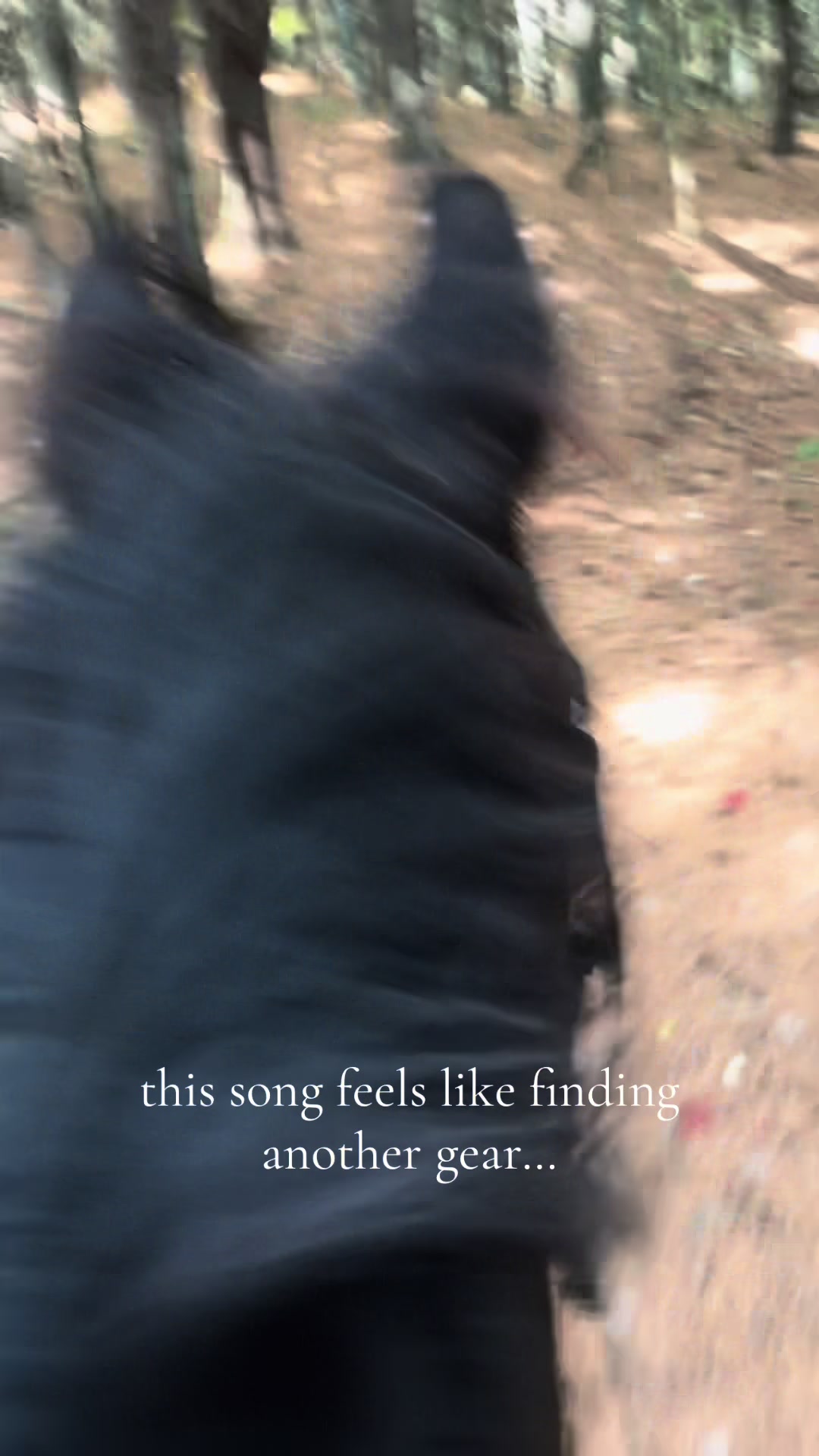 @Kai Elisa 🦨