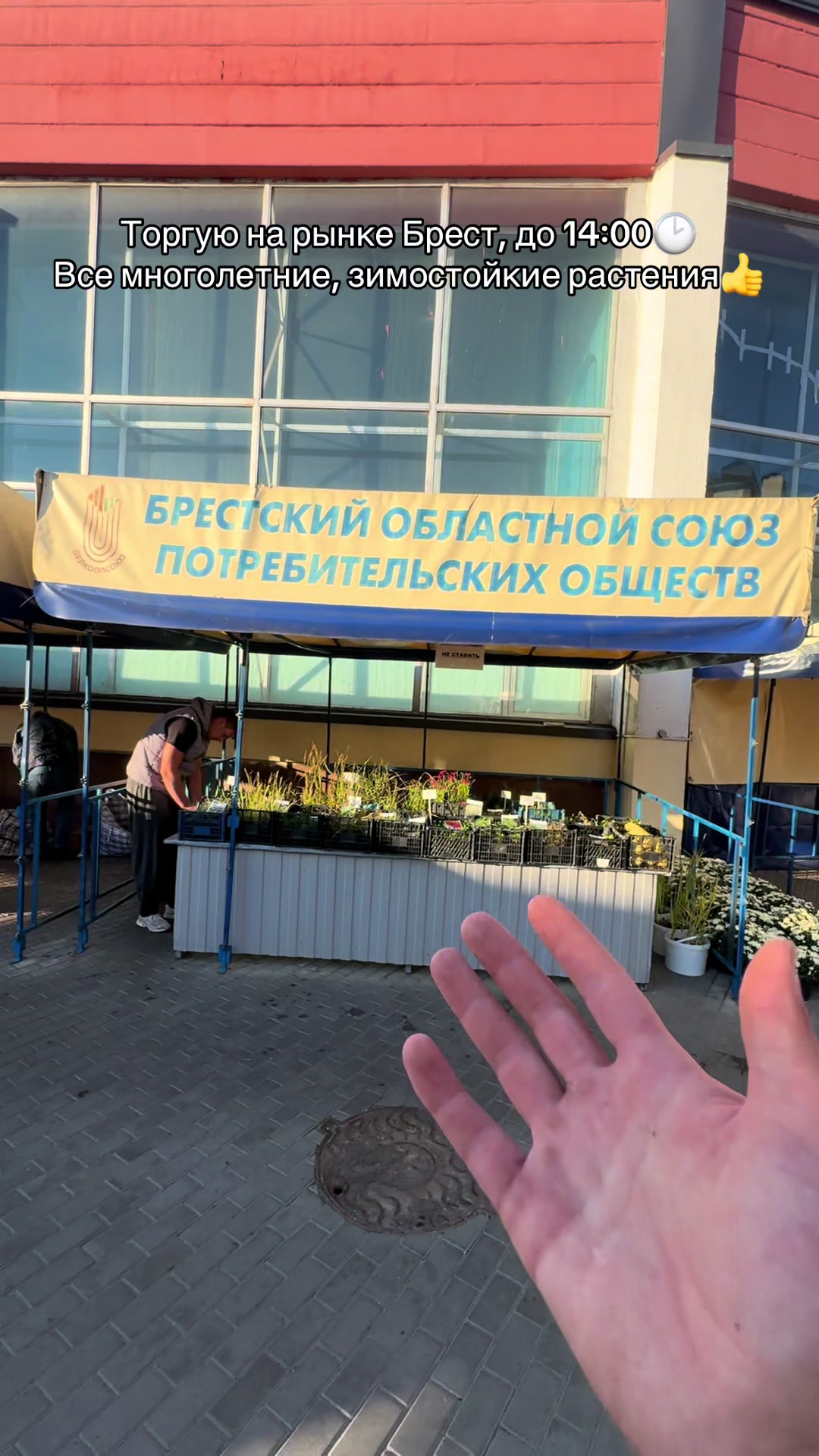 @Kirill Kvetka