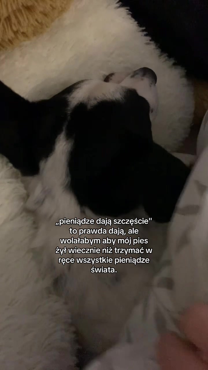 @ig: majaniszeewska💋