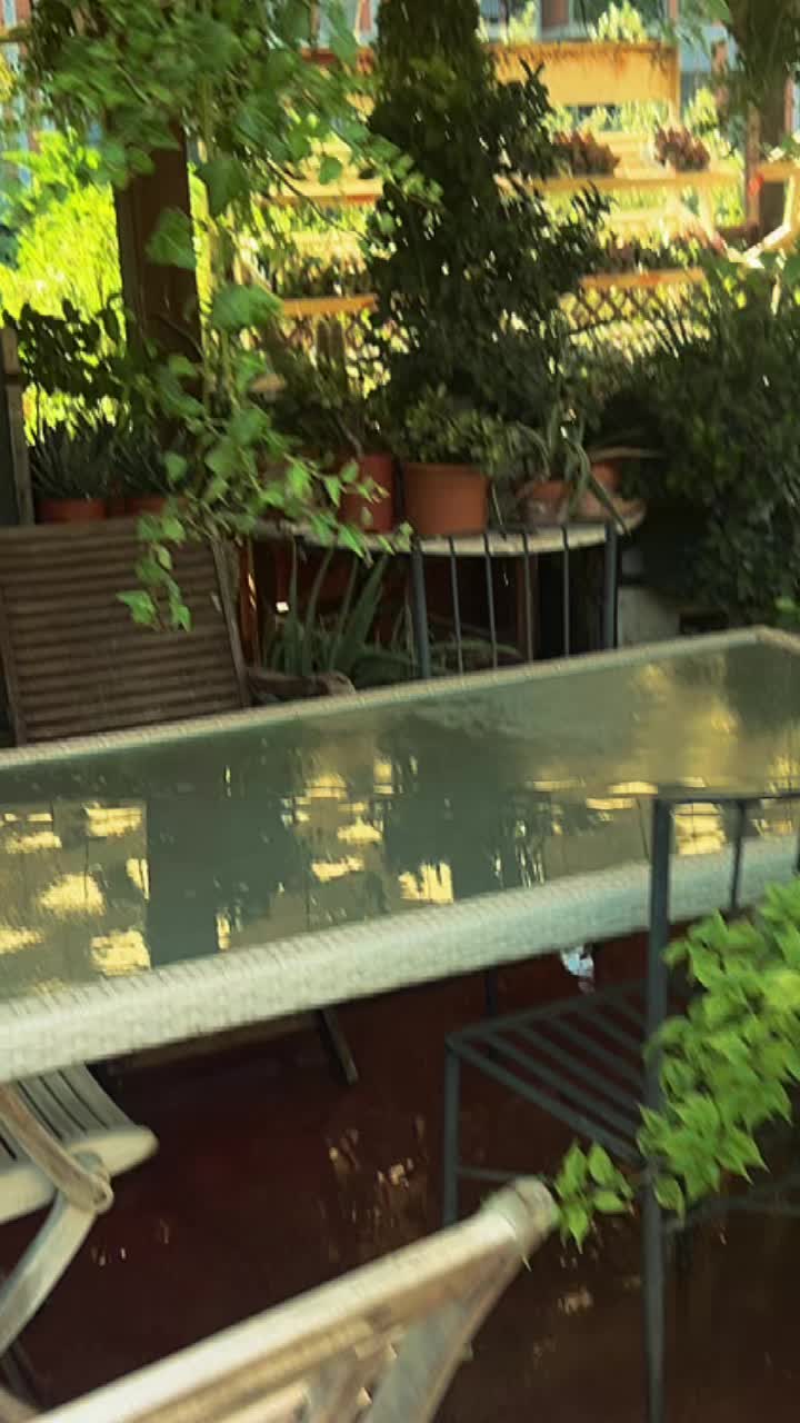 @vivaioanticogarden