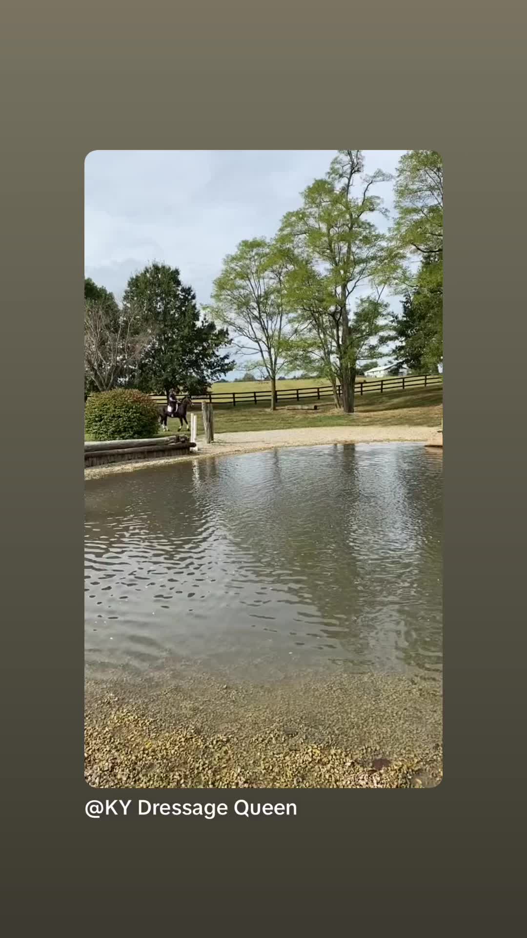 @KY Dressage Queen