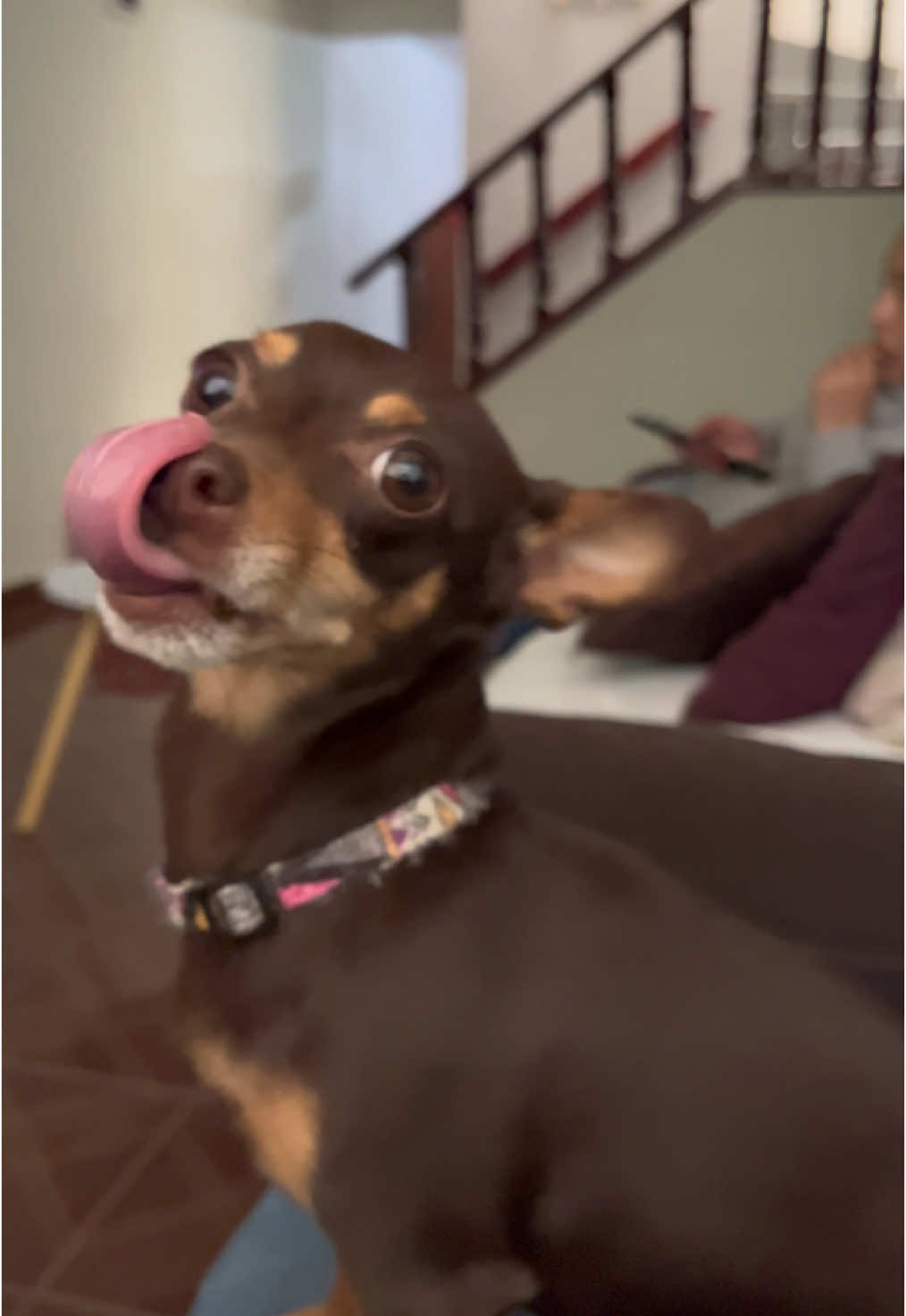 @𝐒 𝐀 𝐁 𝐈 𝐍 𝐀