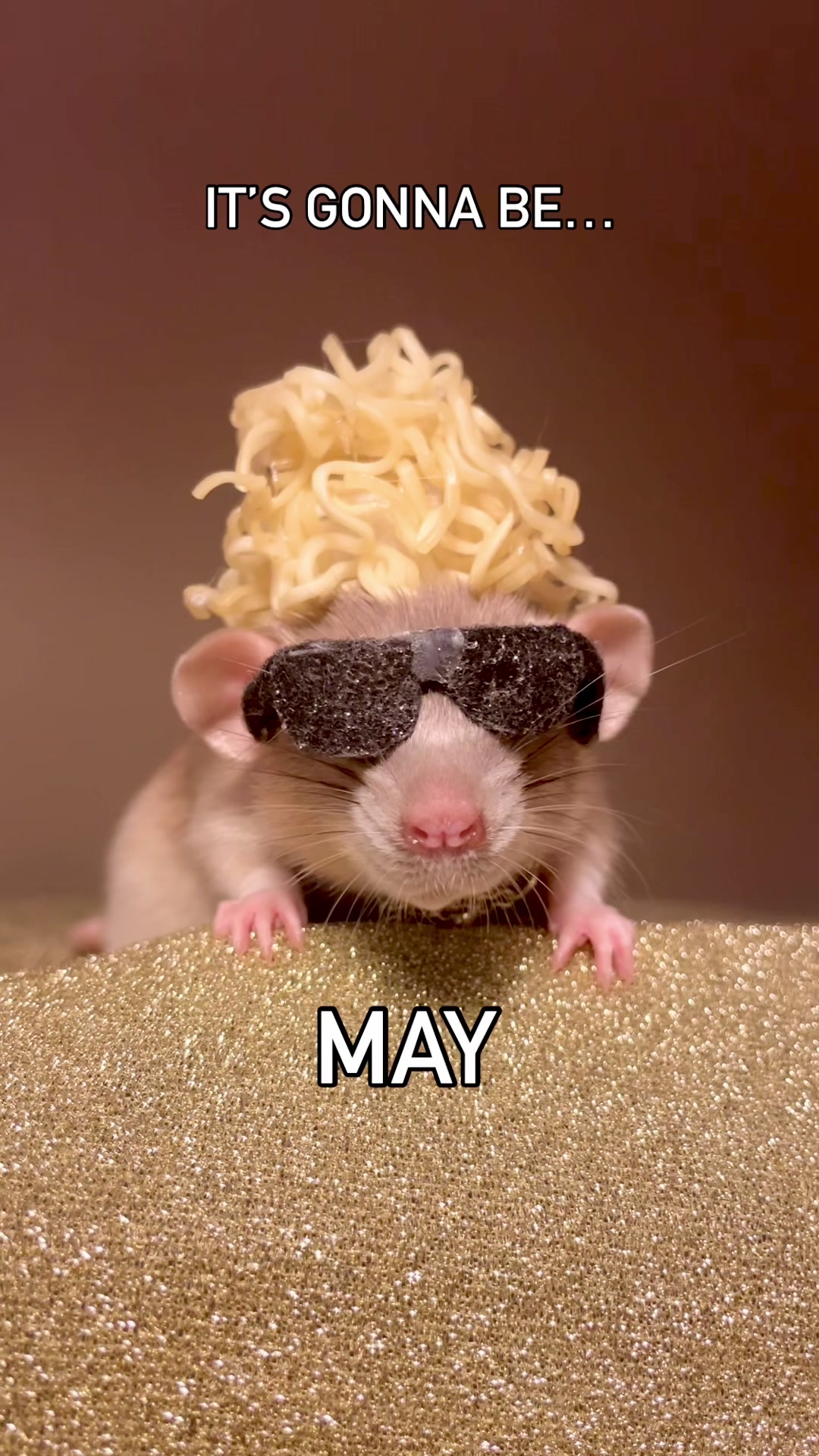 @RatsHaveFeelingsToo