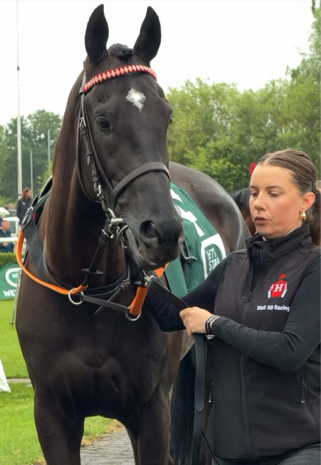 @Laura | German Horseracing