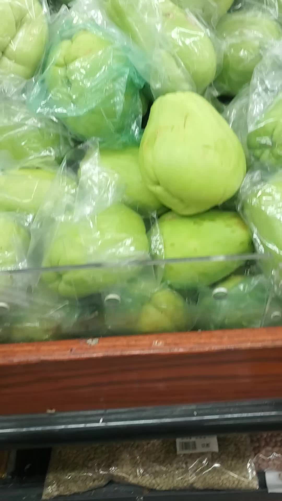 @NANA PLANT🏝️