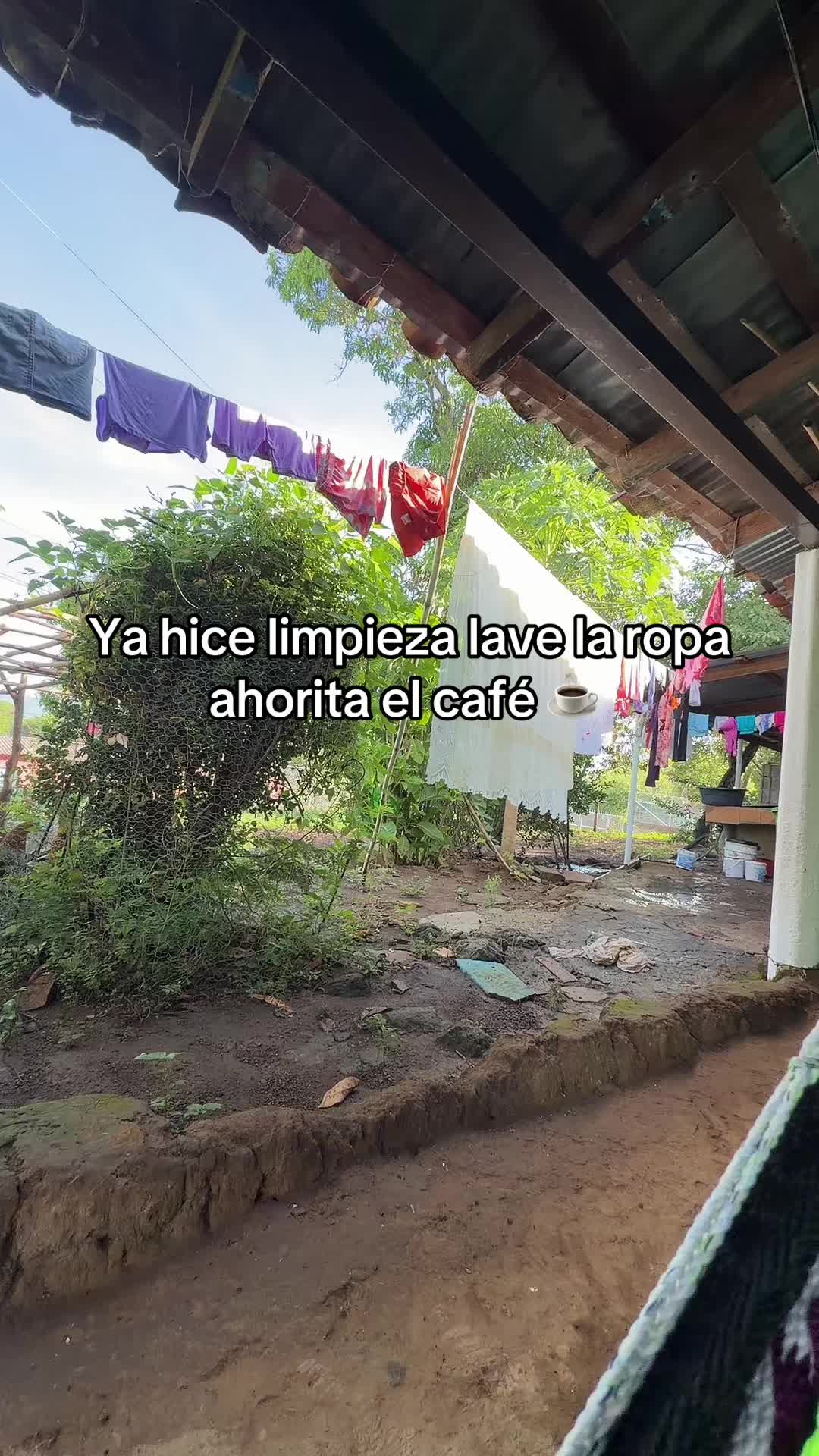 @vanestar69