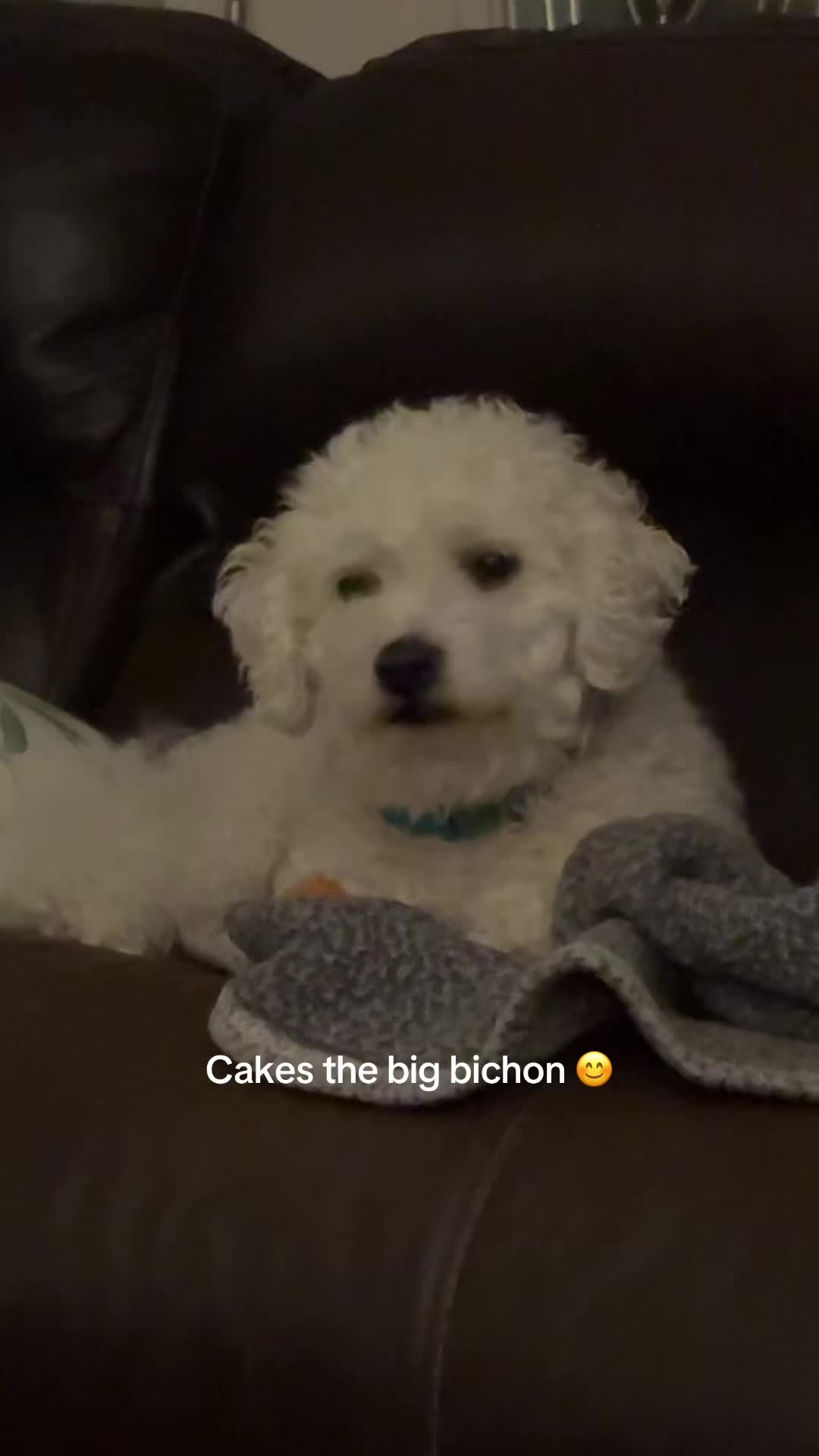@Darlena and Pancakes