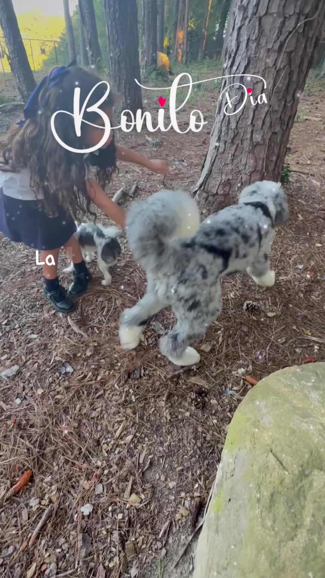 @NicaGmor🐾🇳🇮🐰🦁