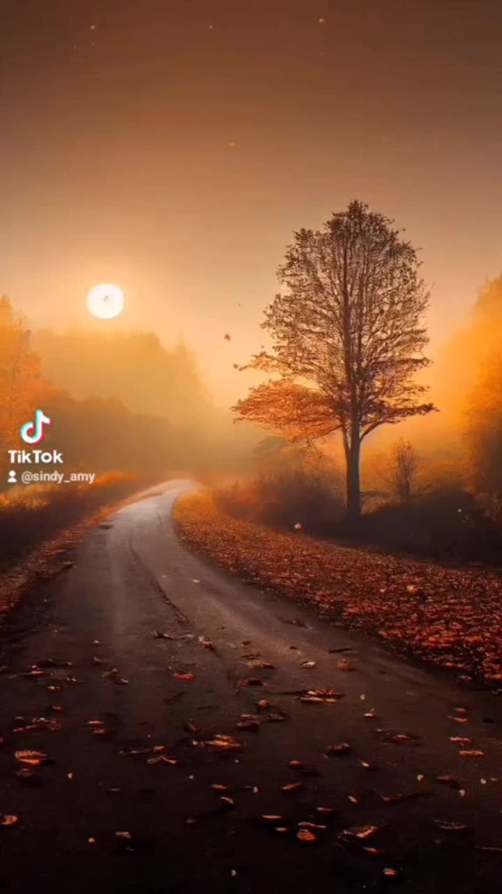@Sindy80_Amy01